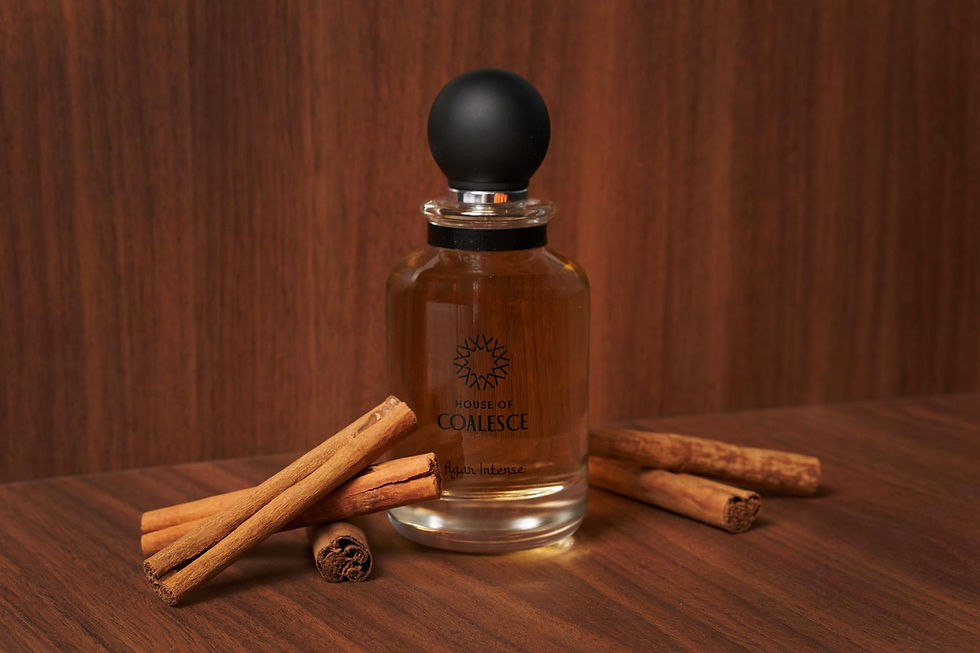 PHOTO-2026-01-14-14-49-54 2.jpg