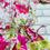 Miniatura: Vestido RESERVA NATURAL