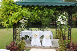 Nutton_25.7.14 (small)-1666