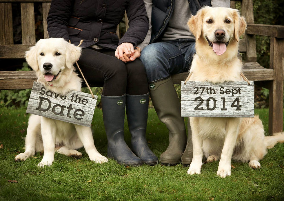 save the date engagement bucks