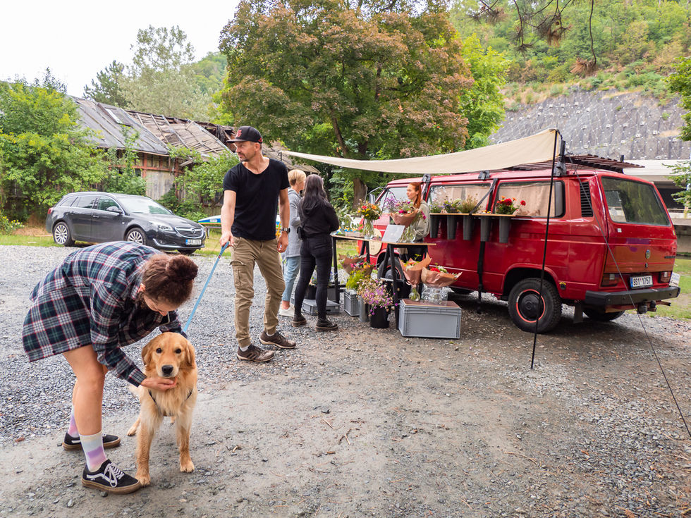 Zbiroh vizu změna-10