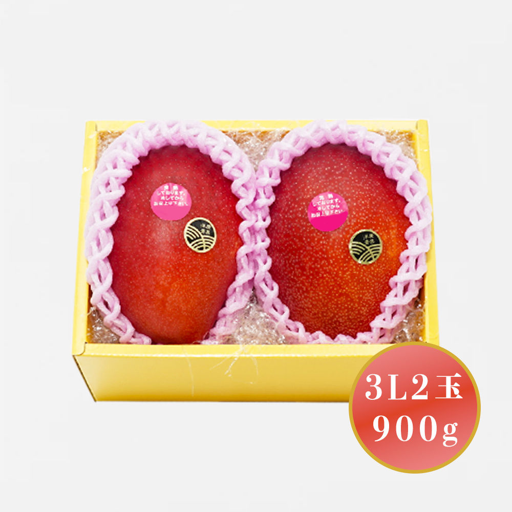 宮崎県産完熟マンゴーA2