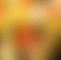 Celebrate National Taco Day at these Ottawa taco spots