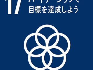 目標17｢パートナーシップで目標を達成しよう｣