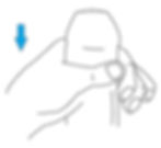 Vector image showing the hand applying distal pressure, to stretch the foreskin against the glans