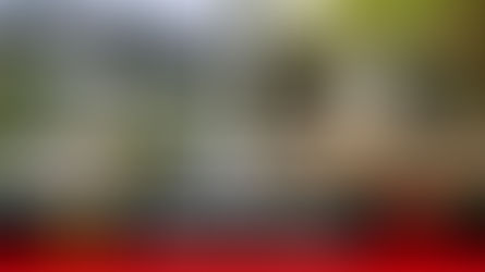 San Juanito, un municipio de paisajes y cascadas majestuosas