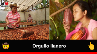 El cacao del Meta, un tesoro llanero que conquista paladares en Alemania, Bélgica e Italia