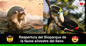 Bioparque los Ocarros reabre sus puertas al público