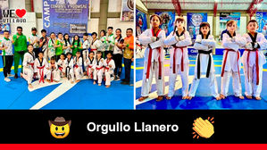 17 deportistas del Meta irán al Campeonato Mundial Infantil de Taekwondo