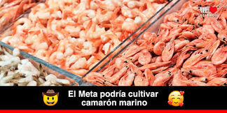 La investigación la está realizando la universidad de los Llanos