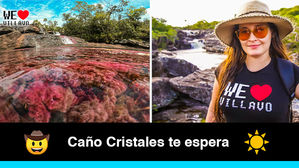 Caño Cristales abre nuevamente al público para deslumbrar con su belleza