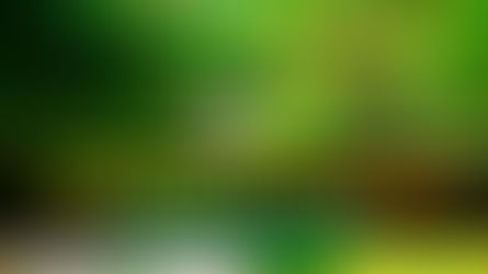 Senderos Villavo, el proyecto que te invita a conocer nuestras riquezas naturales