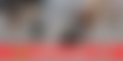 Campaña #NoEstanSolos recolecta 620 kilos de alimento para peluditos de la calle