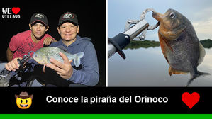 Un río del llano donde habitan las pirañas Caribe Capaburro