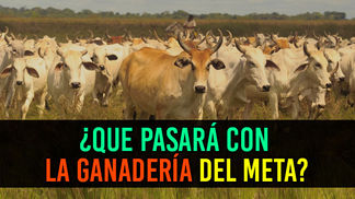 Seminario `Ganadería eficiente y sostenible´ en ExpoMalocas