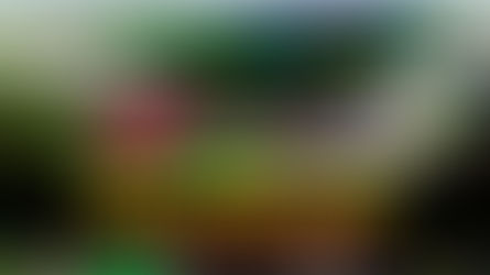 Alcaldía anunció la construcción de un nuevo parque lineal