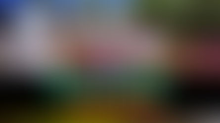 La campaña en Redes Sociales que busca proteger La Macarena