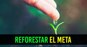 Anuncian ambicioso plan para reforestación en el Meta