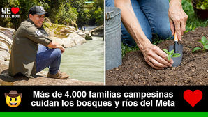 El Meta lidera la conservación con récord nacional en Pagos por Servicios Ambientales