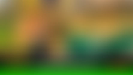 La anaconda albina rescatada por Cormacarena se encuentra a salvo