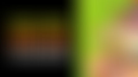 Lo mejor de la fiesta es hoy durante el VI festival LLanero