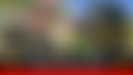 El Ejército construirá el ferrocarril Villavicencio –Puerto Gaitán por iniciativa del Gobierno Nacional