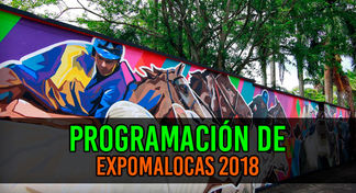 Se aproxima ExpoMalocas 2018