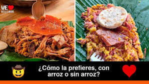 Diferencias entre la lechona tolimense y la lechona llanera