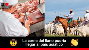 Empresarios de China visitan el Meta con el fin de exportar carne