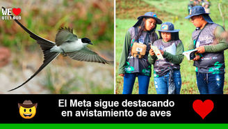 Colombia ganó el concurso Global Big Day 2023