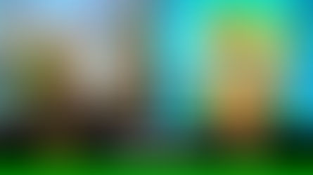 Una exposición con 38 obras de talentosos artistas llaneros