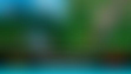 Parque Nacional Natural Serranía de Chiribiquete, la “Capilla Sixtina" de América Latina