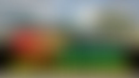 Parque las Malocas permanecerá abierto el 24 y 25 de diciembre