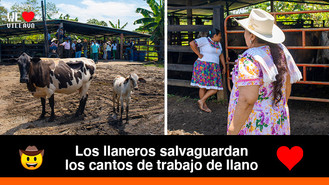 Así se vivió el Encuentro Cantos de Trabajo de Llano 2021 en San Martín