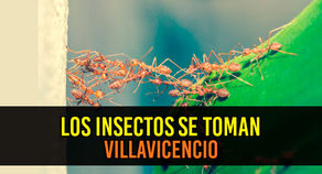 Sin Formato te invita a su caminata artística por Villavicencio