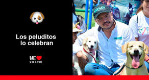 Villavicencio implementará políticas públicas para el bienestar animal