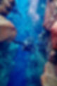 Kelsey_IcelandDiving.jpeg