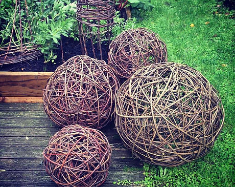 Willow balls.jpg