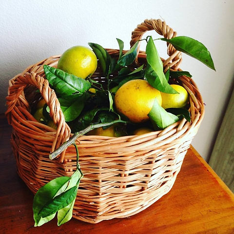 fruit basket.jpg