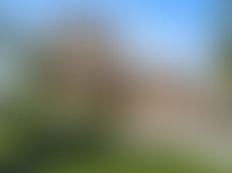 Yard Maintenance Tips for Renters: A Simple Guide to Keeping Your Rental Home Looking Its Best