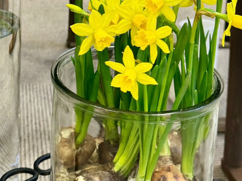 根を張り、咲き誇る。その人生のように。