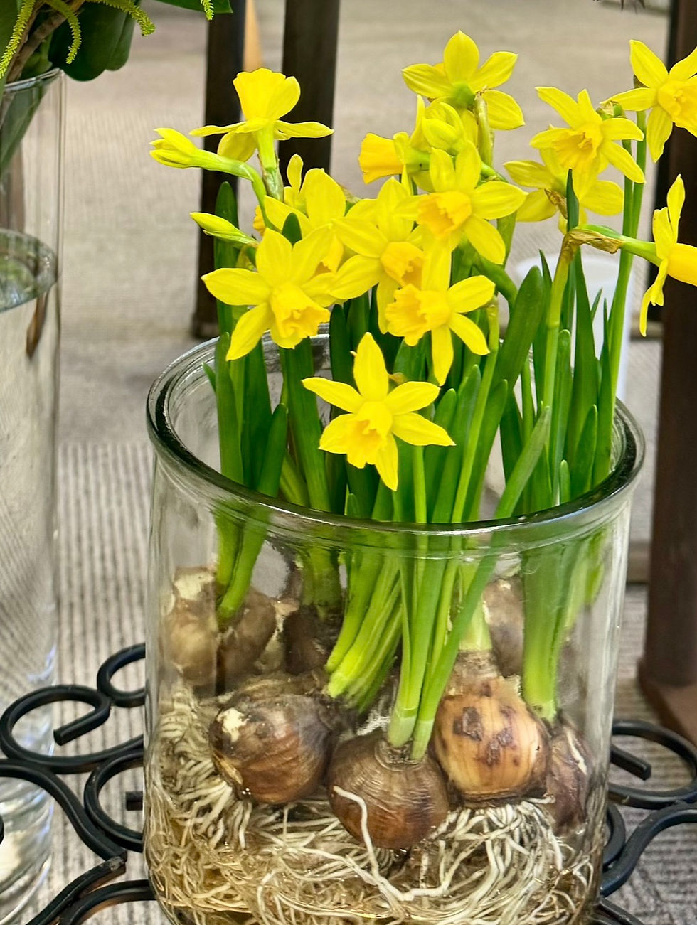 根を張り、咲き誇る。その人生のように。