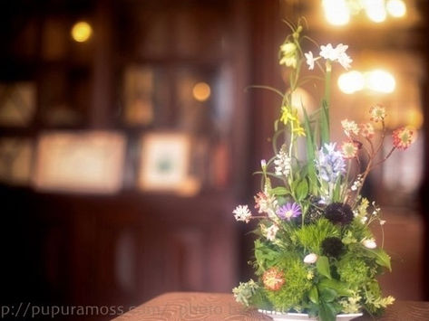 次回の草花の教室の詳細