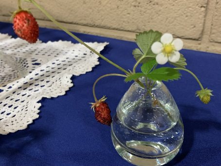 想いを花に託して…野イチゴ