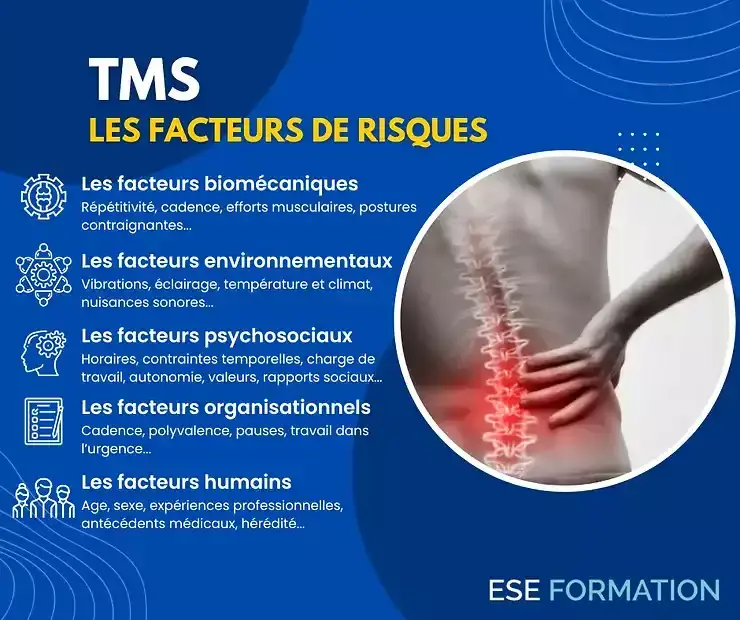 Infographie présentant les facteurs de risques d'apparition des troubles musculo squelettique