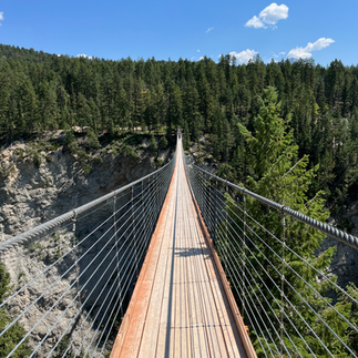 The Golden Skybridge