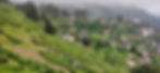banner.jpg