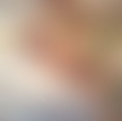 香港文化博物館 / 嶺南風範：趙少昂誕辰一百二十周年紀念展