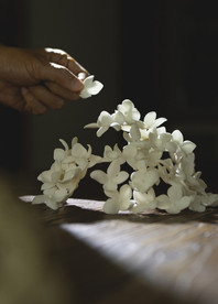 Leo Wong 《Peony Rêverie》