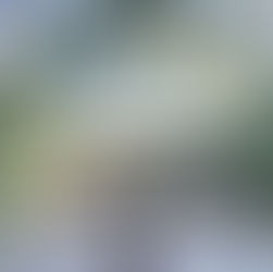 香港旅遊發展局 / 「 茶餐廳 」在巴塞爾藝術展巴黎展會成功揭幕